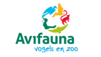 Avifauna Vogels En Zoo Dierentuin